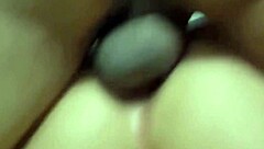 personal me deu treino em casa