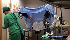 坦帕医生的人体豚鼠菲尼克斯·罗斯在佛罗里达