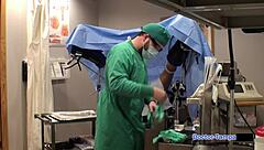 坦帕医生的人体豚鼠菲尼克斯·罗斯在佛罗里达