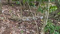 Pinay asian teen 18+ fucks in public near the road