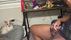 Big Black Cock Picks Up White Girl With Big Booty For Intense Fucking