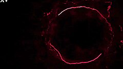 Trailer Allison Bloom Shower Anal Fisting!