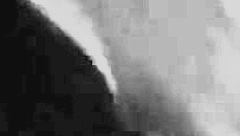 i enjoy mr cunnlingus and lil pound cake's fuckabration