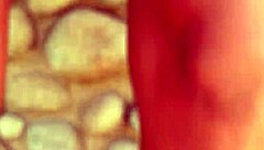 Bombom Calls Pirocudo For Rough Fucking