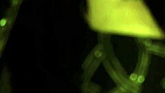 Does this Indian woman look lovely to you?