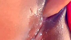 Finally alone, I fuck my sister-in-law to orgasm