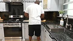 The house pest licks pussy in interracial creampie