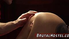 Felicity Feline Excites Tourists In Forest.