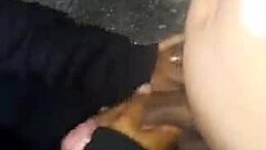 Chubby married hot woman sucking dick, call me at 12 99255 0682