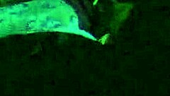 tiny cytheria fucks and squirts until he cums 😍