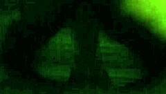 Intriguing skinny pussy destruction by big black cock doggystyle