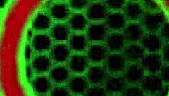 sara jay carmyn fucks with toys and cums hard!