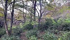 outdoor forest rough sex spanks teen girl pussy fucked cum in mouth squirted