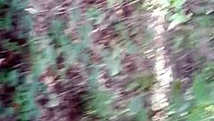 Lesbian Girls Lick Pussy in Forest Until Cum