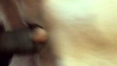 bbc rips tight pussy first time!