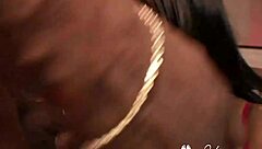 diva starr has her chunky black body fucked silly