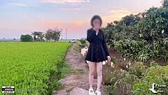 Young couples have sex in rice field.