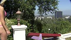 My sugar daddy is not home today