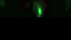 Latina in Lingerie Gets Anal Creampie with Moans