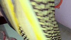 Called bhabhi from kitchen to quench the thirst of her shaved pussy