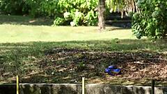 What Happens When Beautiful Babe in Blue Strips Outdoors for Metart?