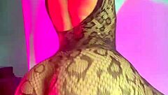 I want to ride your huge member until you make my insides creamy