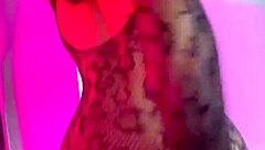 I want to ride your huge member until you make my insides creamy