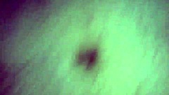 bent over babe in doggystyle anal assfucking