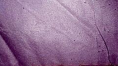 Pregnant at sixth month flashing belly and hair