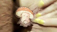 come in the name of the lord