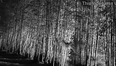 Missy Jubilee 126 Burns It All Down With Intense Fucking