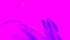 The naughty wife surprises her husband with a teasing blowjob, choking and gagging on his throbbing member deeply.