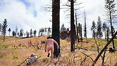 simscristian05 update 96 shows naked walk in the burn with sheer outfit on jul 15 2025