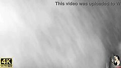 chayenhy and pele vip share trailer