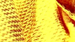 I see this babe in yellow panties rubbing her dildo