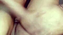 nigarchrist shares update 1535 on petal from june 29 2025