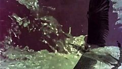 Retro hairy beaver action in vintage doggystyle from Dark Lantern Entertainment