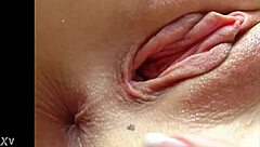 i enjoy my euro solo session with pussy and ass masturbation in stockings