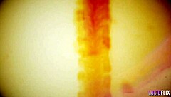 Bryona Ashly starts with deepthroat blowjob. Then she rides in cowgirl and missionary for intense pussy licking session.