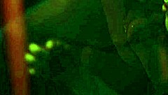 she was lickin my toes like it was some kinda dessert