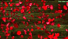 hey, this chico from xvideos just pulled off my thong and now i'm ready to take his verga deep in my eager vagina that's craving it bad