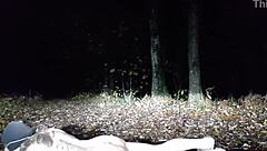 Esclave F En Foret Dressage De Truie Puis Dressage En Interieur!