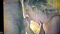 I Feel So Thrilled As Blonde Skariann Delivers Passionate Amateur Pov Blowjob Experience