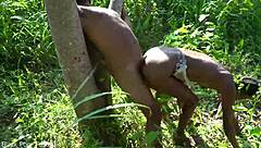 what happened when i filmed that tribe documentary and they turned me into their plaything?