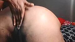 Nigarchrist Update 1444 Petal 20250617 155219 Jun 17 2025