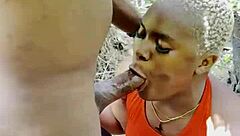 Epic king of the forest tale with bardie part 1