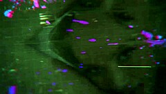 hey busty blonde milf, cheating on your man? come over here for sideways riding and doggystyle pounding