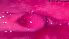 Why Tease That Amateur Pink Pussy So Wet After Virginity Loss?