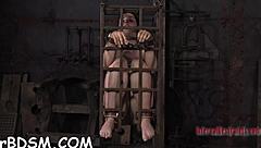 Why Do Sexy Slaves Delight In Tight Wet Pussy And Rough Hardcore Sucking Games?