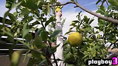 Perfect Big Ass Teen Model Hayli Sanders Strips Naked in Hot Skirt Posing Session Revealing Flawless Body